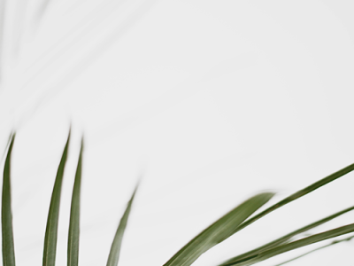 deserunt mollit anim id est laborum. deserunt mollit anim id est laborum.